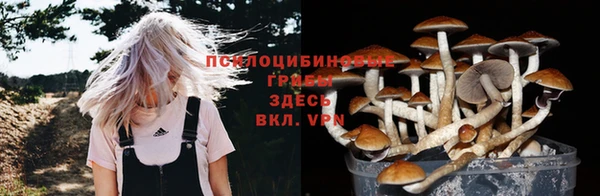 спиды Белоозёрский